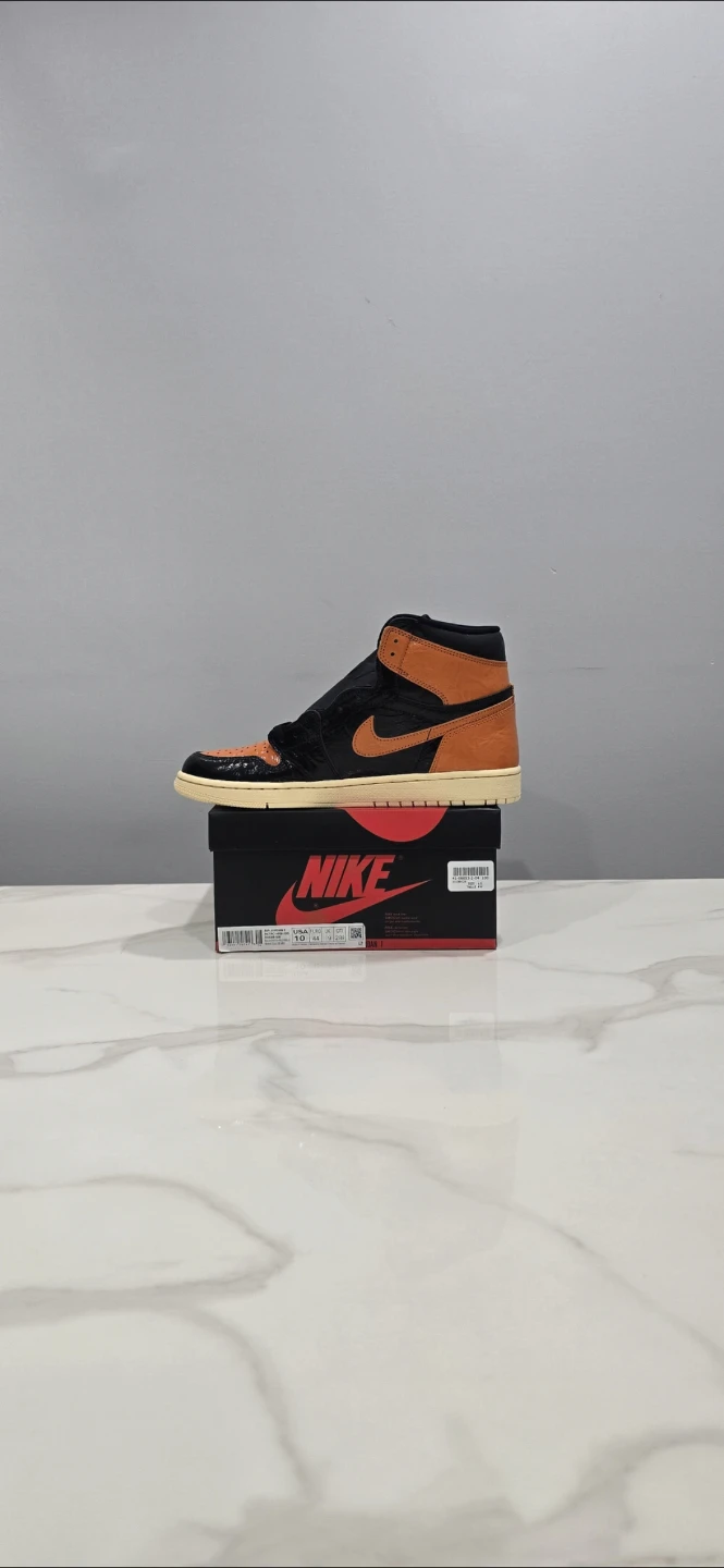 Air Jordan 1 Shattered Backboard 3.0 size 10 - photo 3