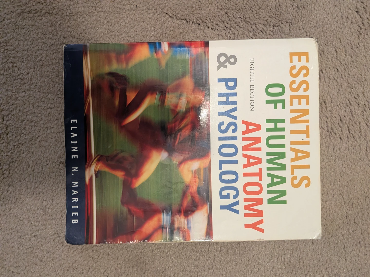 Essentials of Human Anatomy & Physiology 8th Edition Textbook