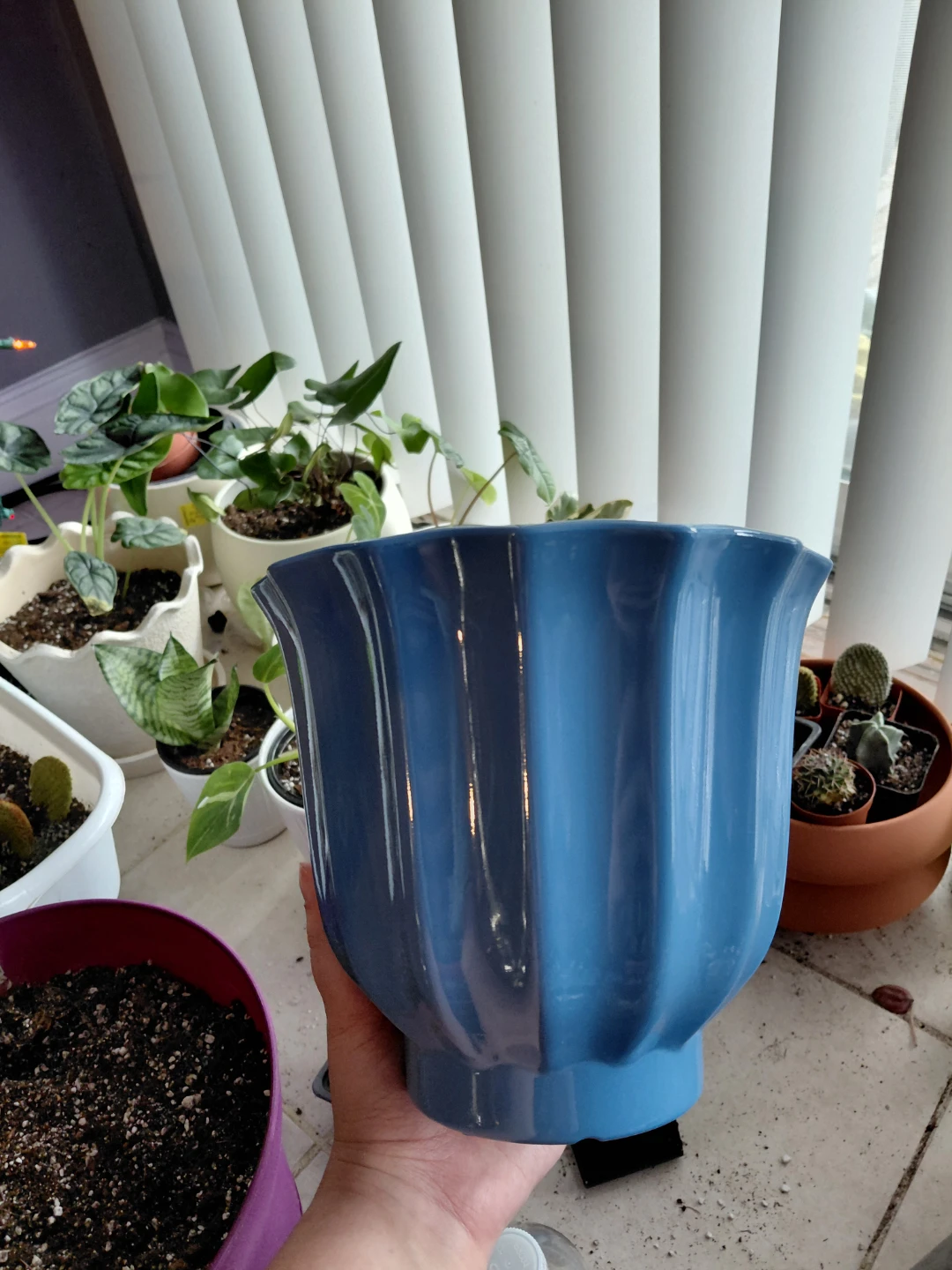 8" Blue Planter Pot