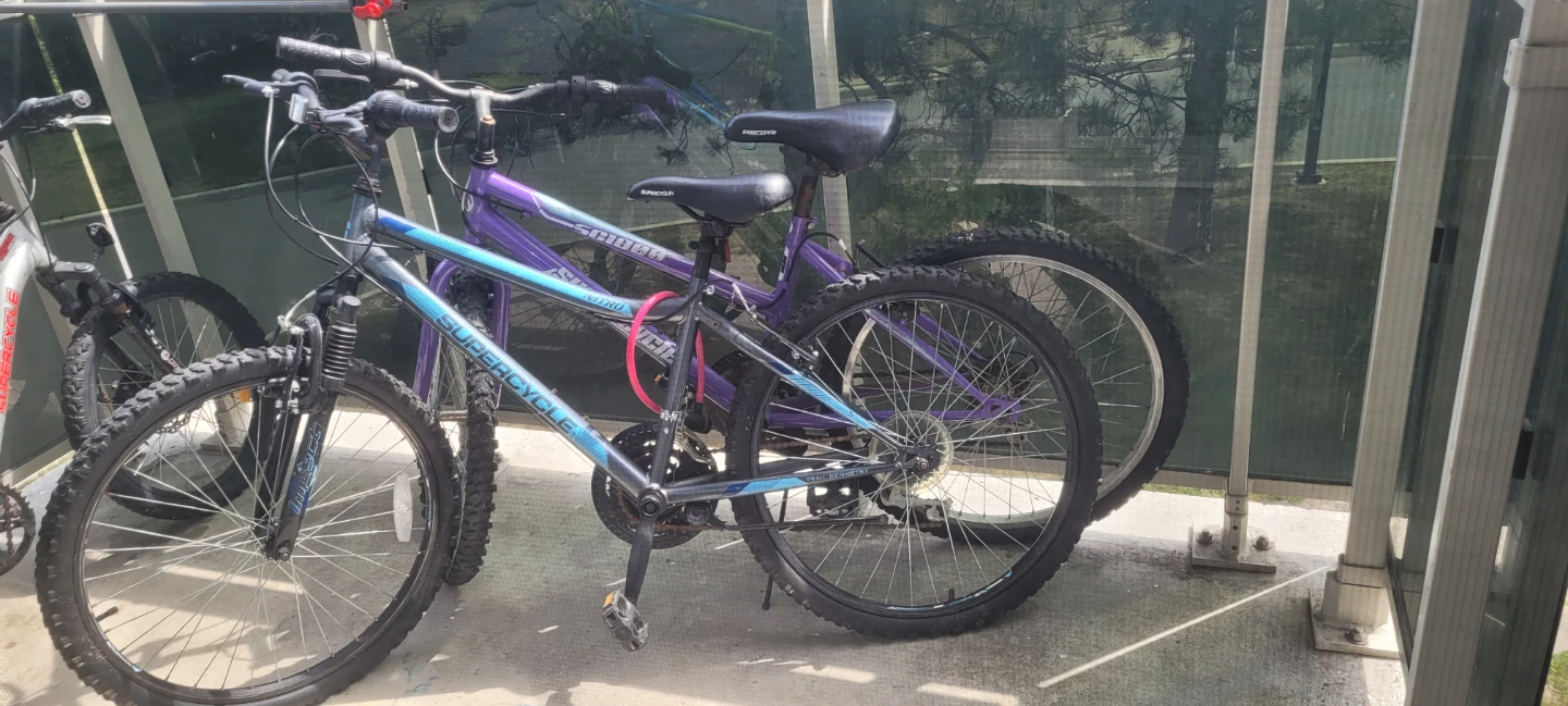 Trail Geometry Mountain Bike Frame