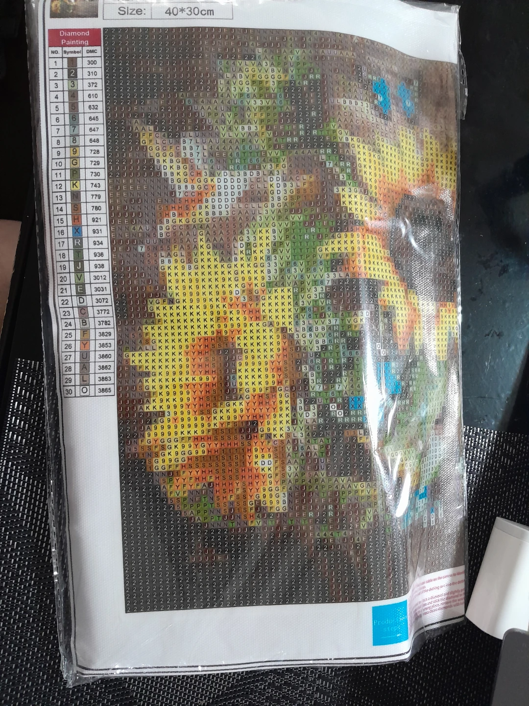 Diamond Painting Kit 40*30cm - photo 3