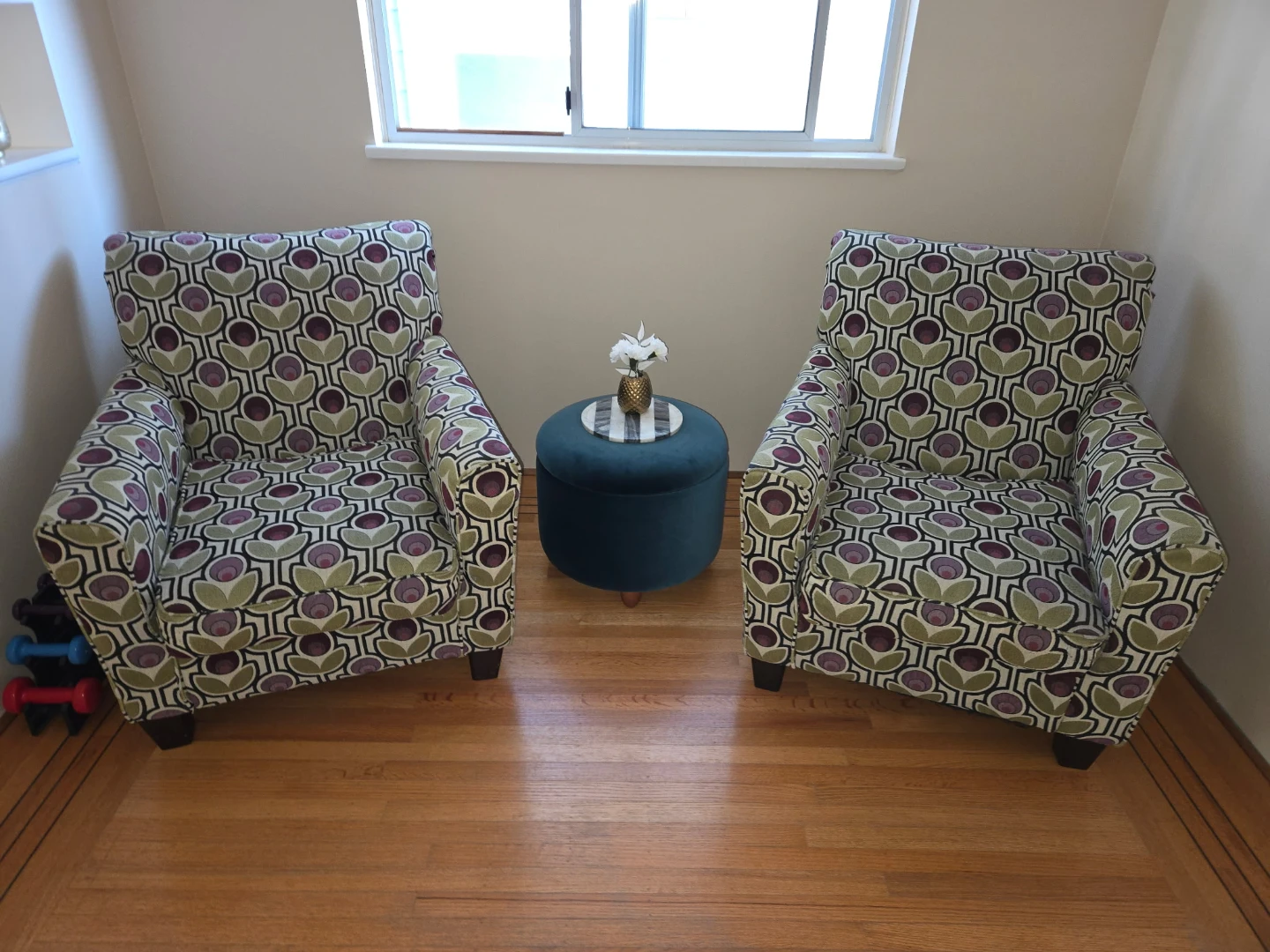 Living room Lounge Chairs and ottoman