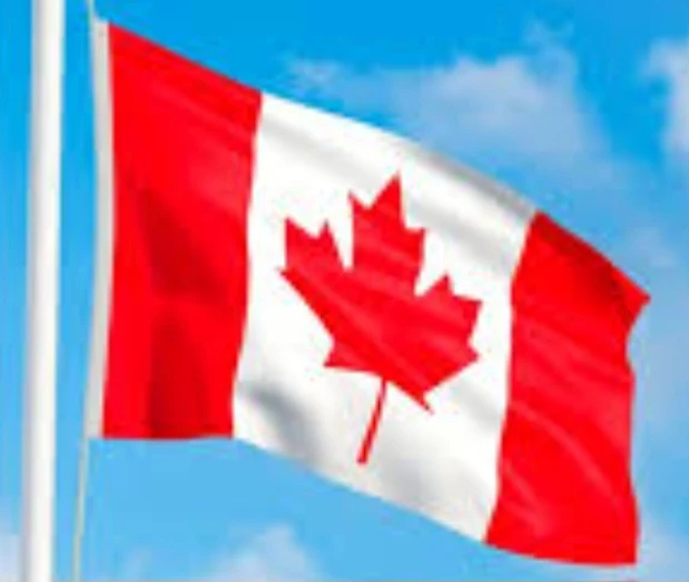 Canadian Flag 36" x 72" Duraknit