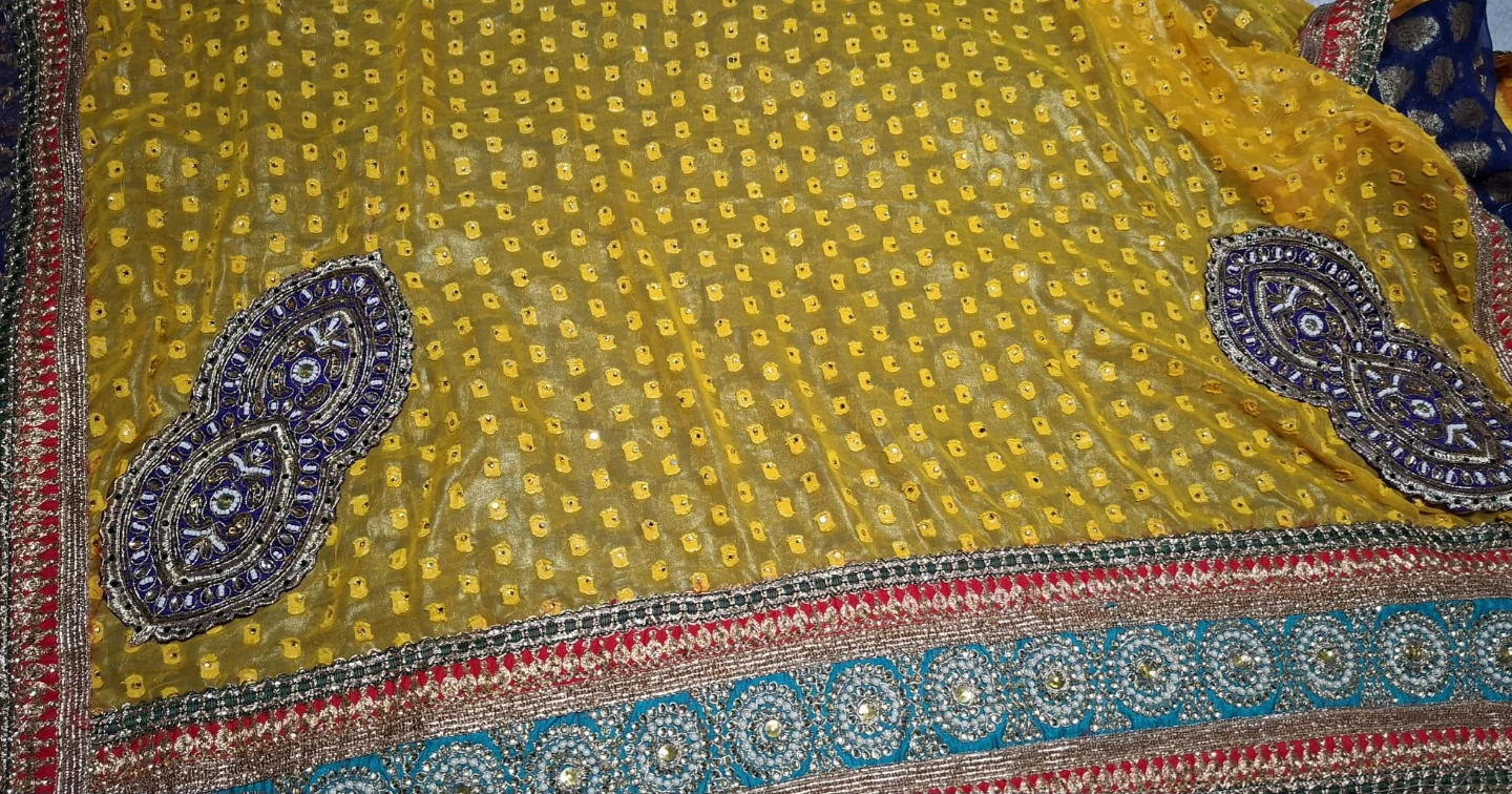 Embroidered Saree - Yellow & Blue - photo 5