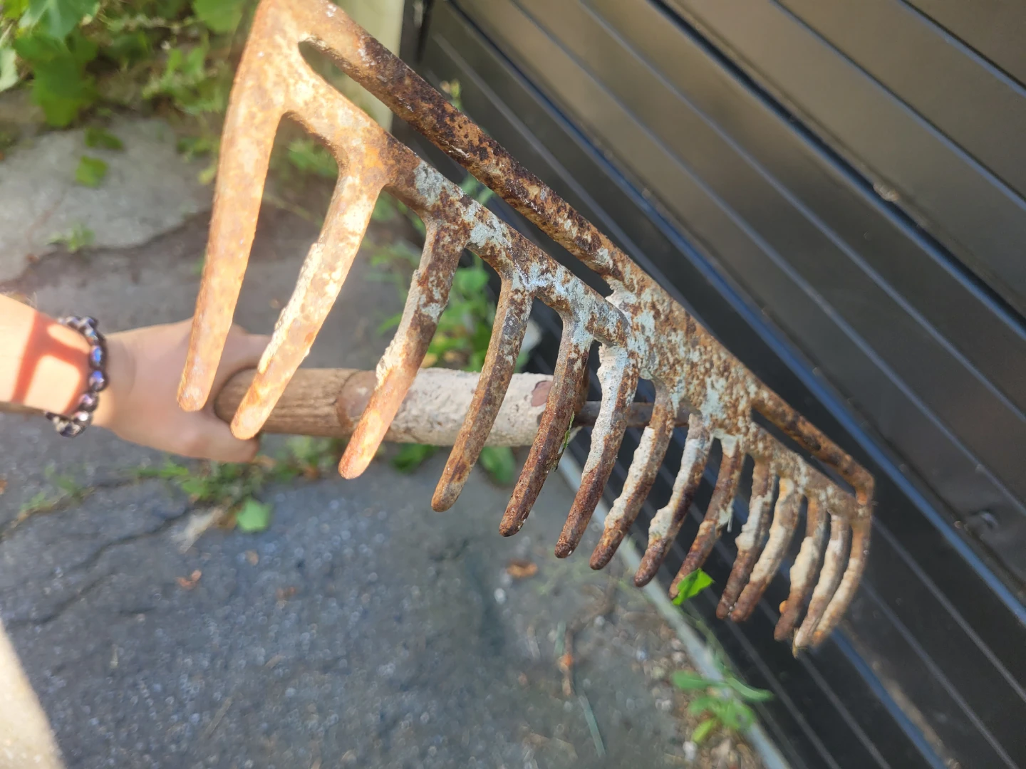 Pitch forks and rake - photo 3