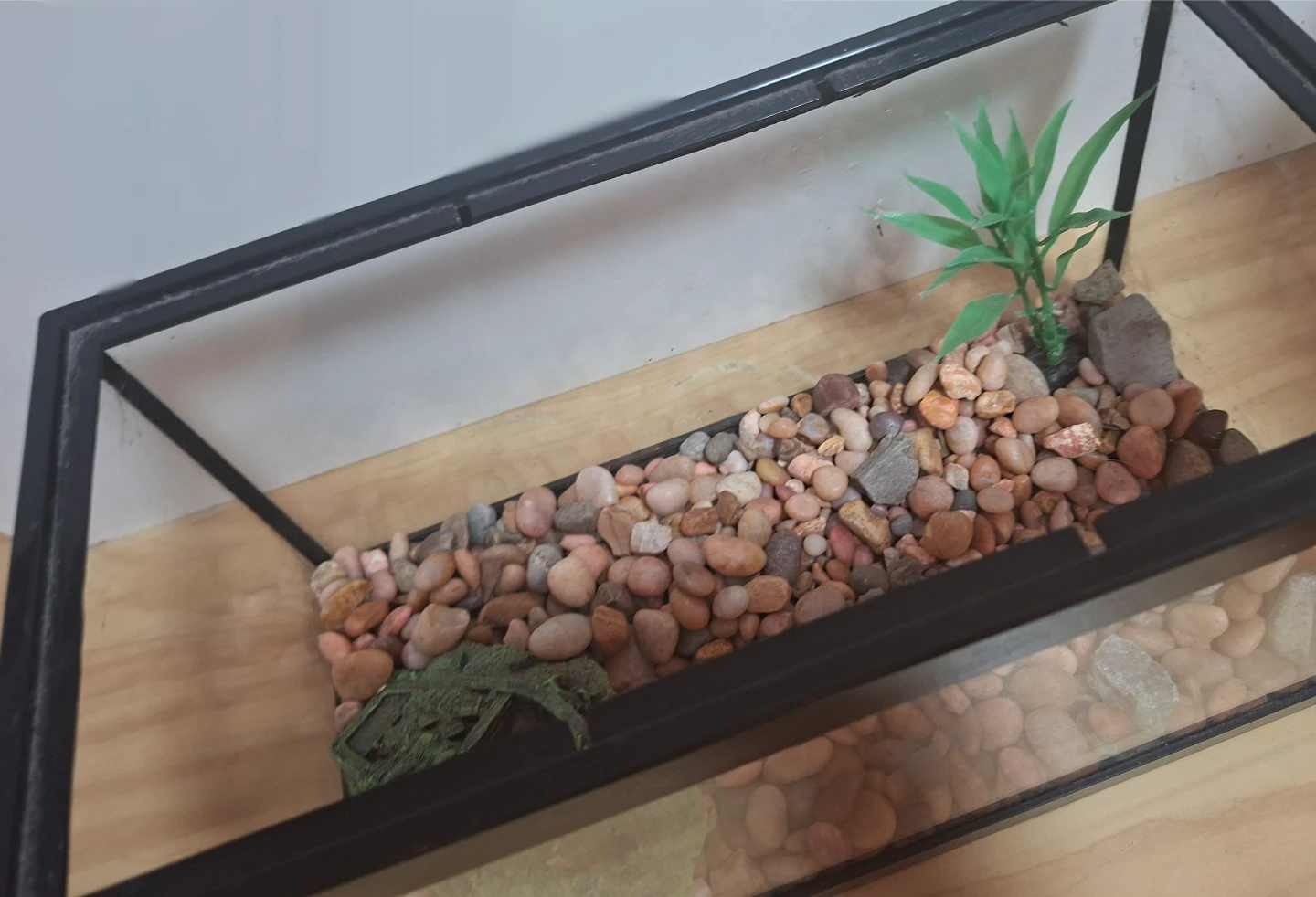 Glass Fish Tank - photo 2