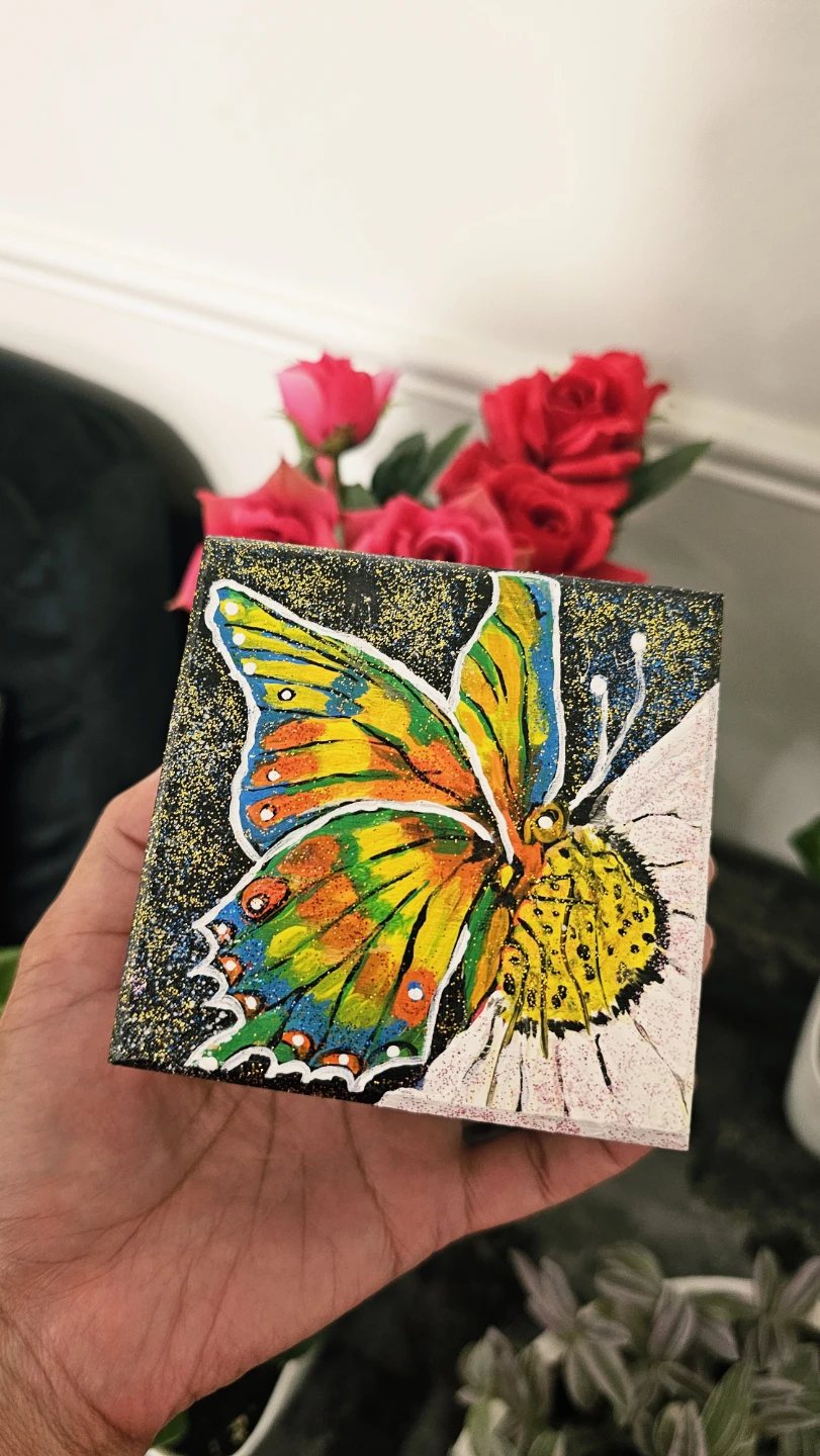 Hand-painted acrylic wooden butterfly  box