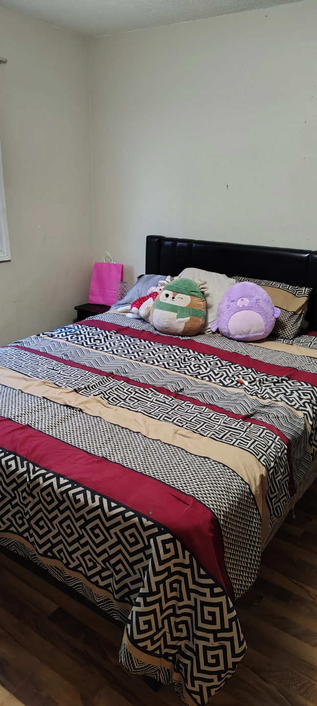 2nd floor Apartment for rent - photo 3