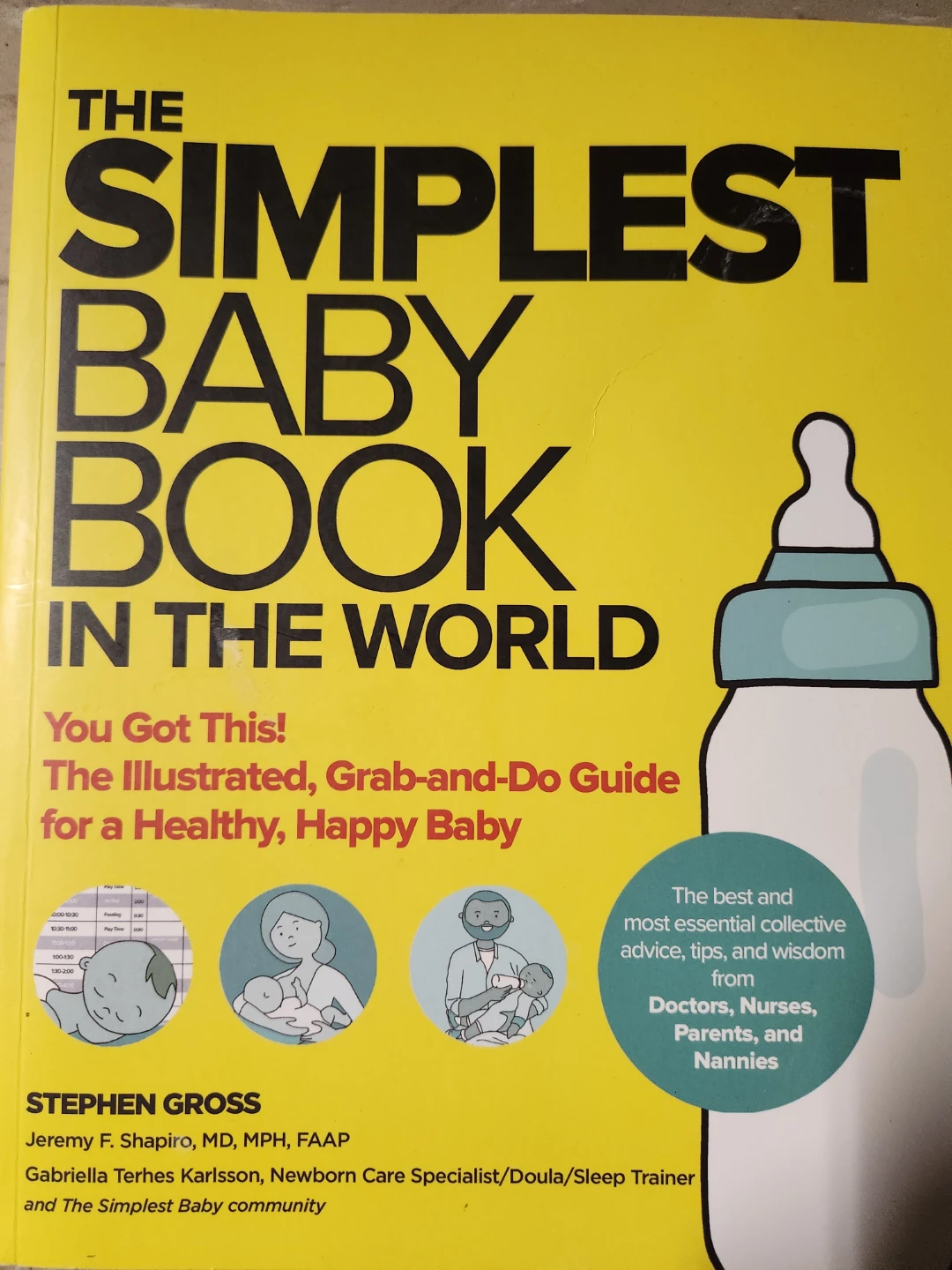 The Simplest Baby Book In The World Illustrated Guide