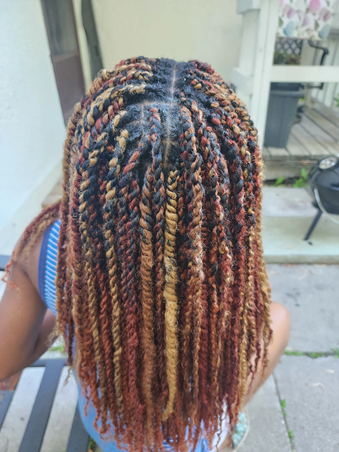Twisted Braids - photo 2