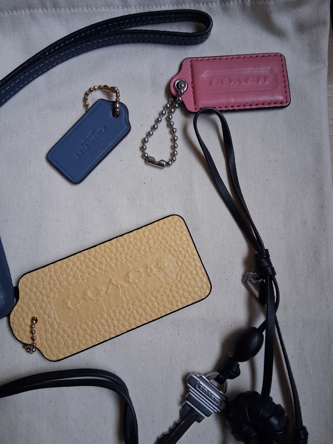 Coach bundle - photo 3