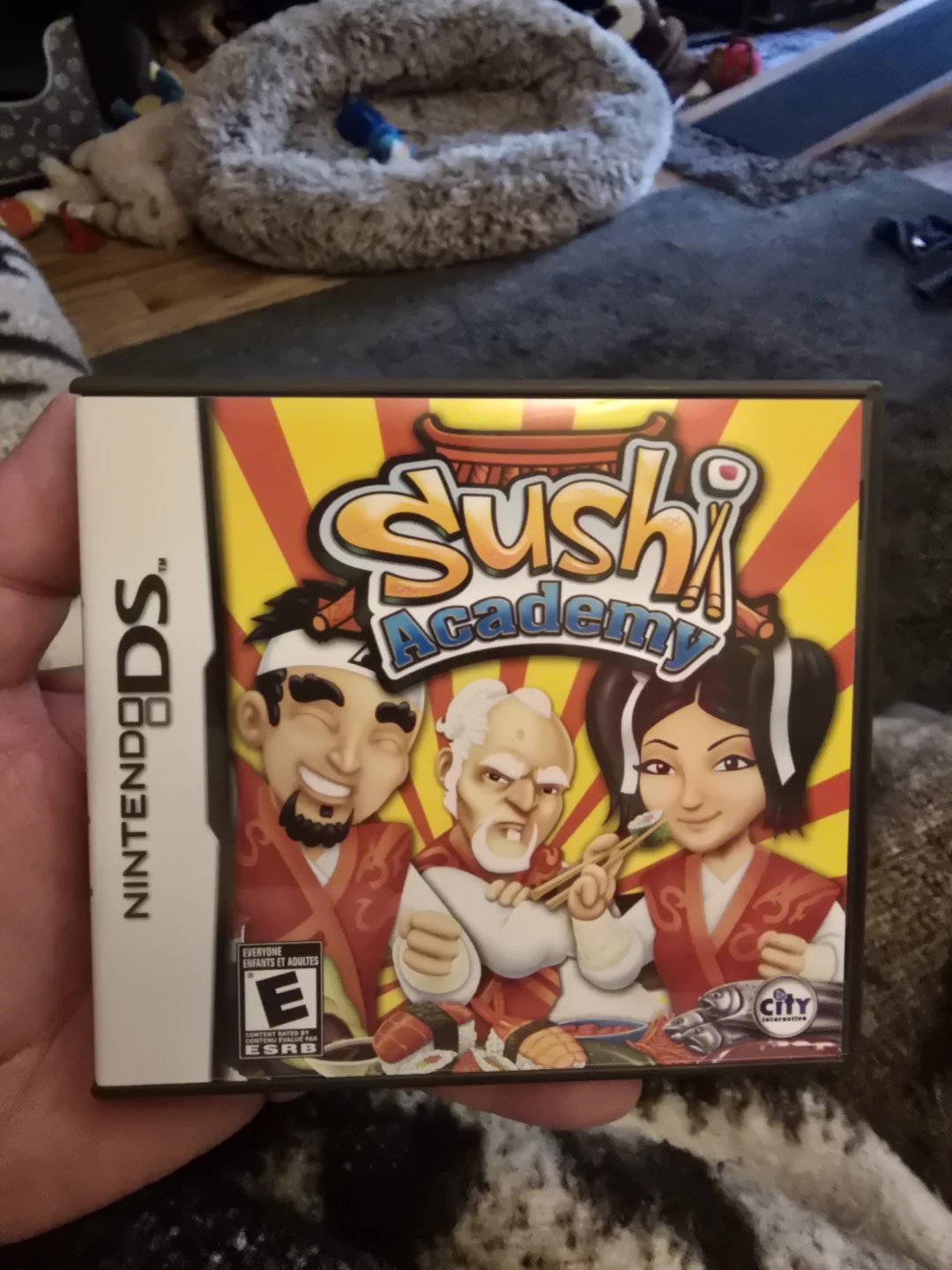 Nintendo DS Sushi Academy Game