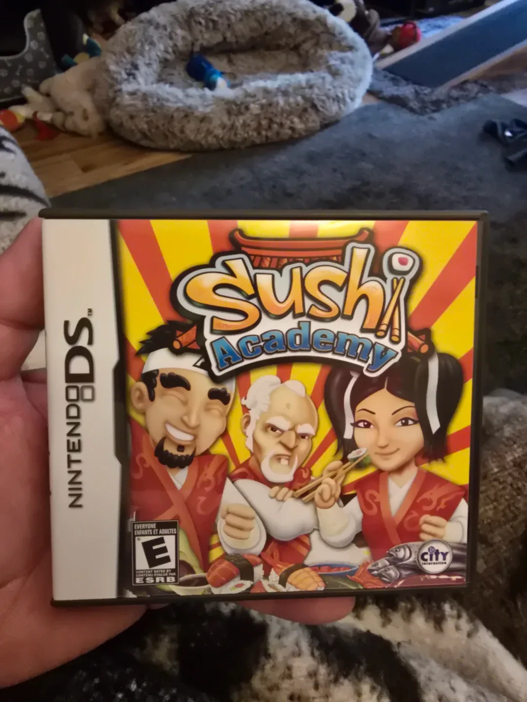 Nintendo DS Sushi Academy Game