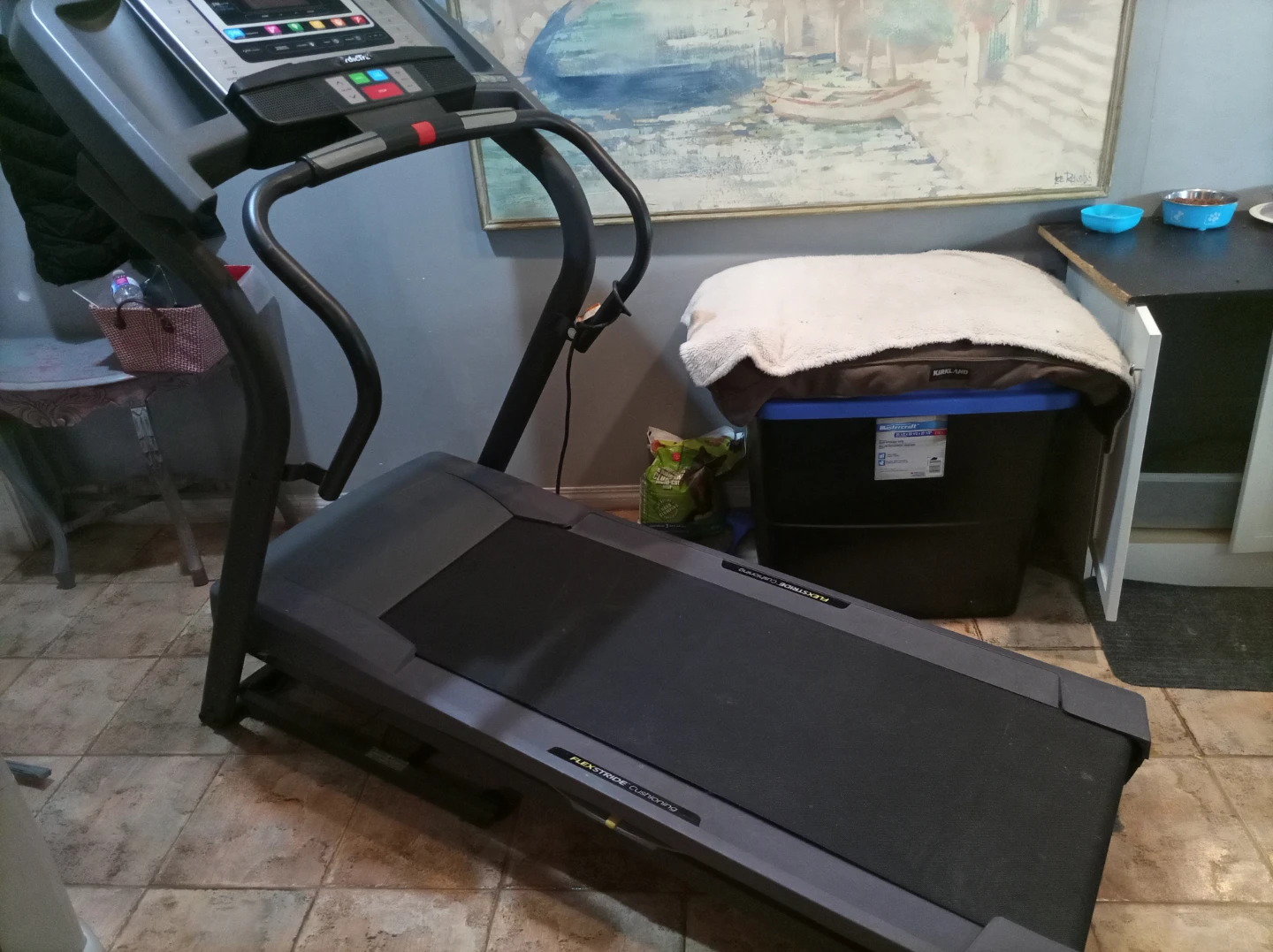 NordicTrack Treadmill