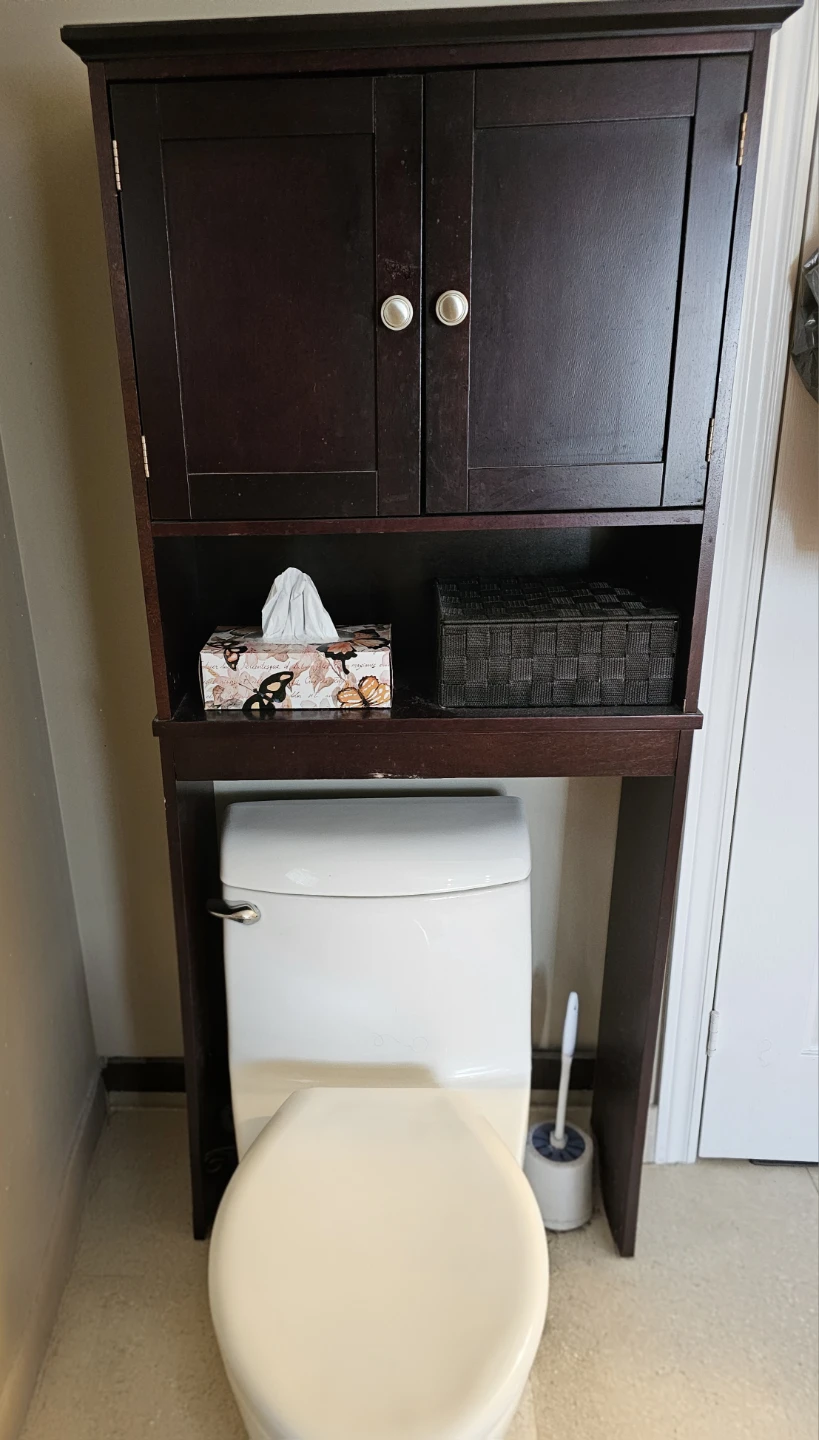 Over the Toilet Storage