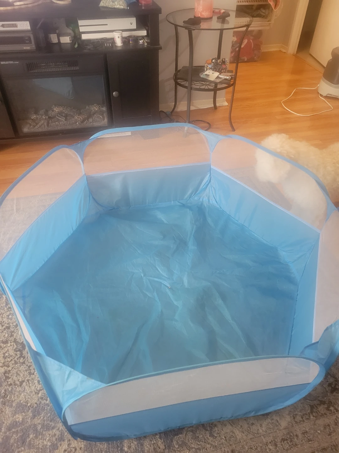 Blue Pop Up Play Pen for Pets - photo 2