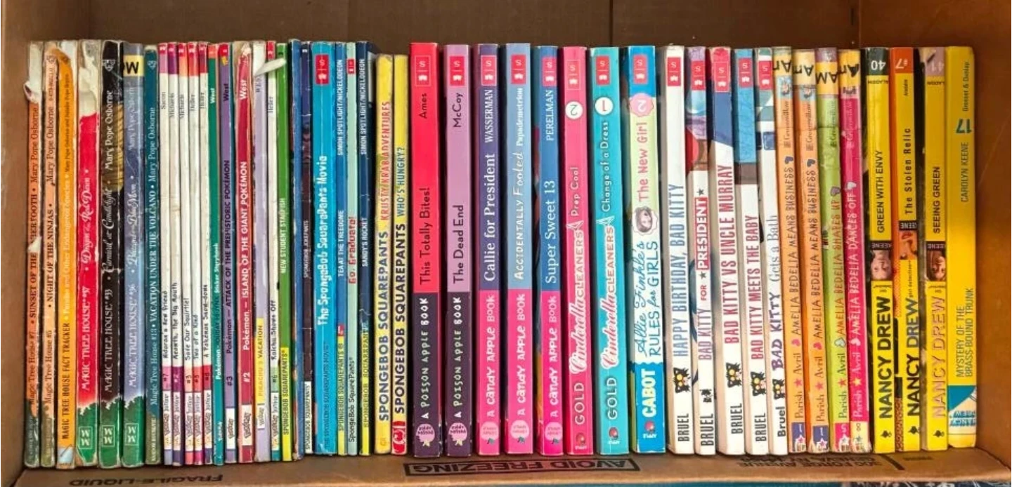 Assorted Children's Books Bundle