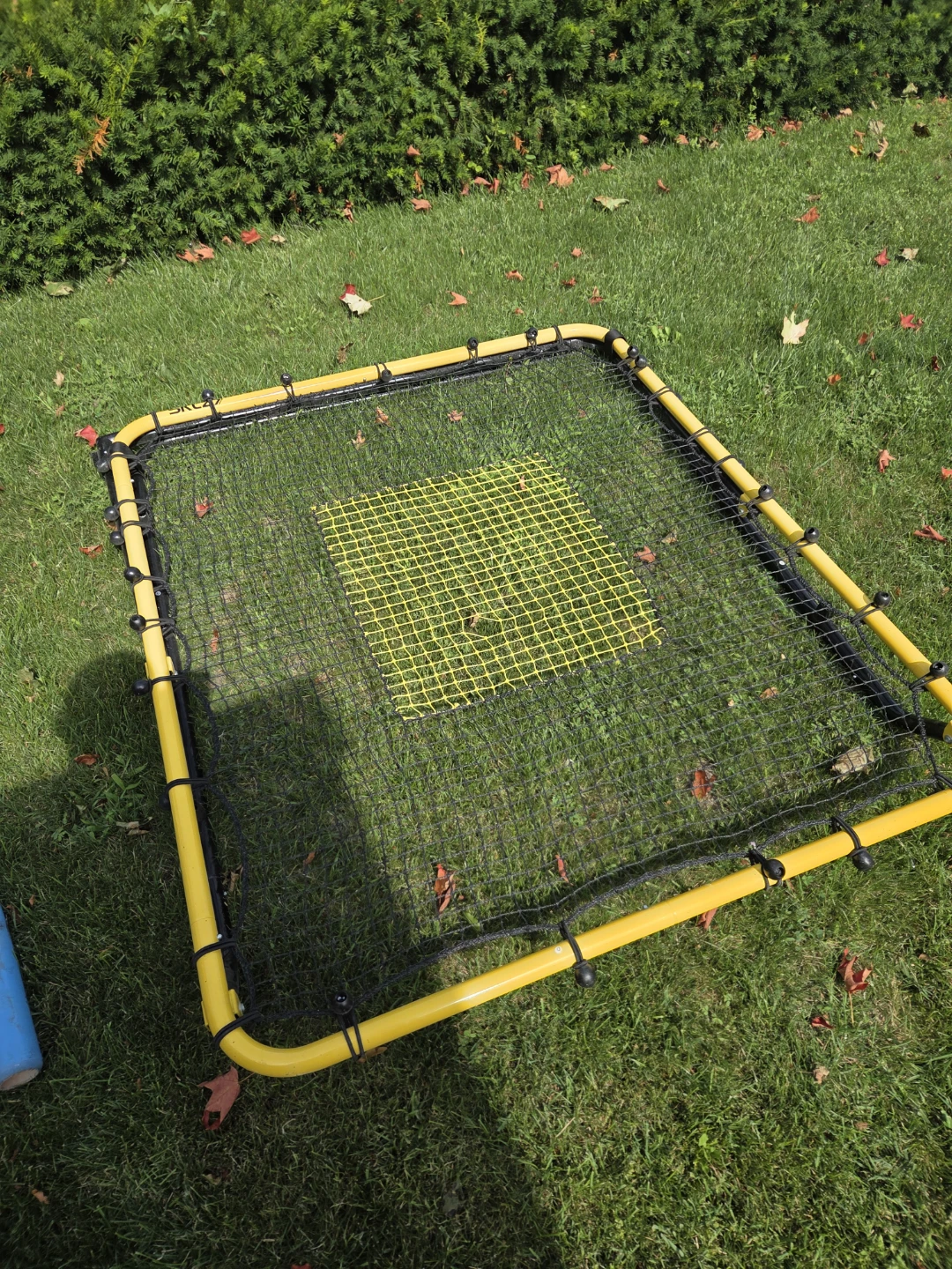 Baseball rebounder volleyball rebounder