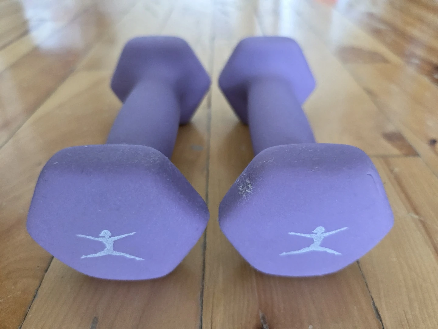 Danskin 2lb Neoprene Dumbells (x2)