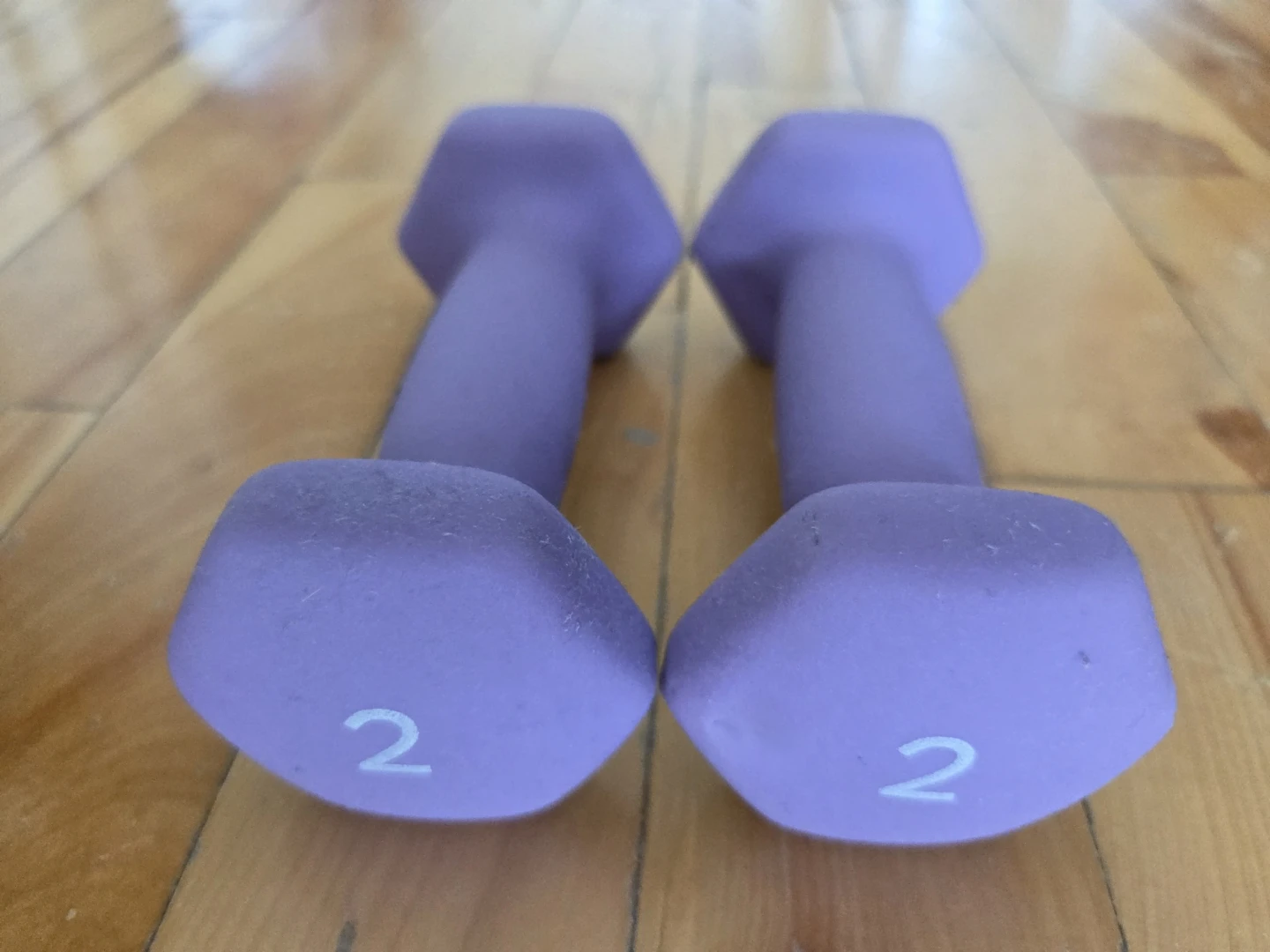 Danskin 2lb Neoprene Dumbells (x2) - photo 2