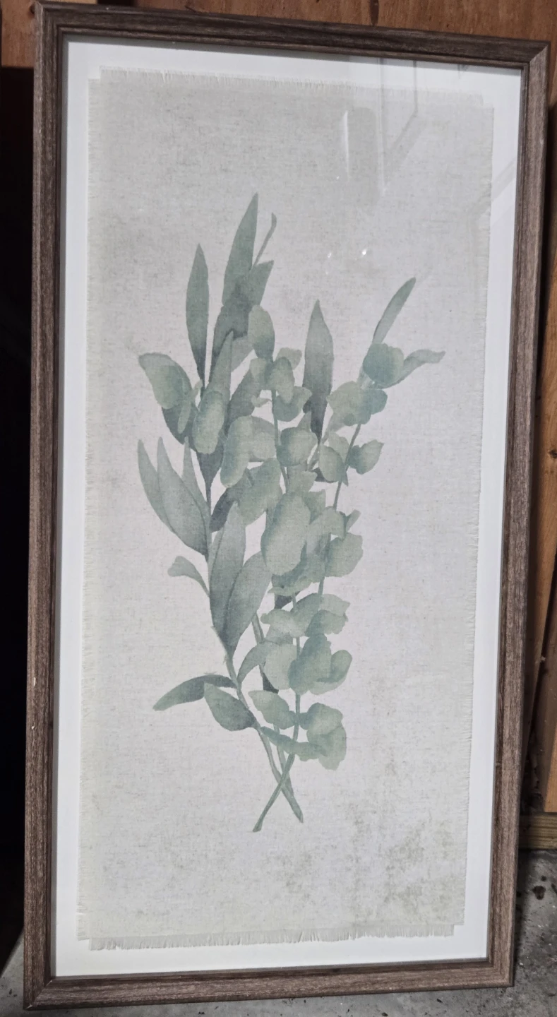 Set of 2 Framed Botanical Prints - photo 3