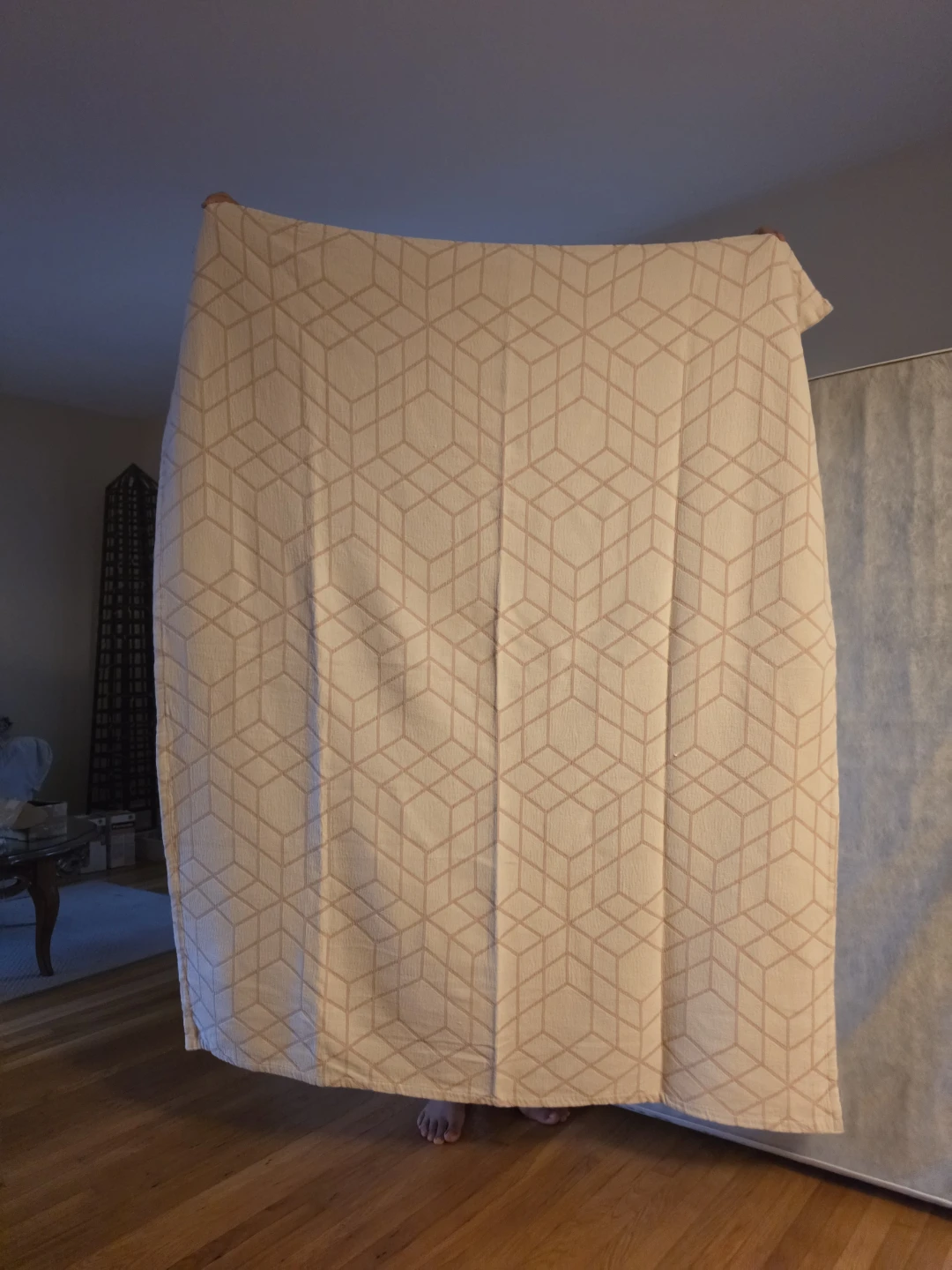 Cotton Blend Throw Blanket - photo 2
