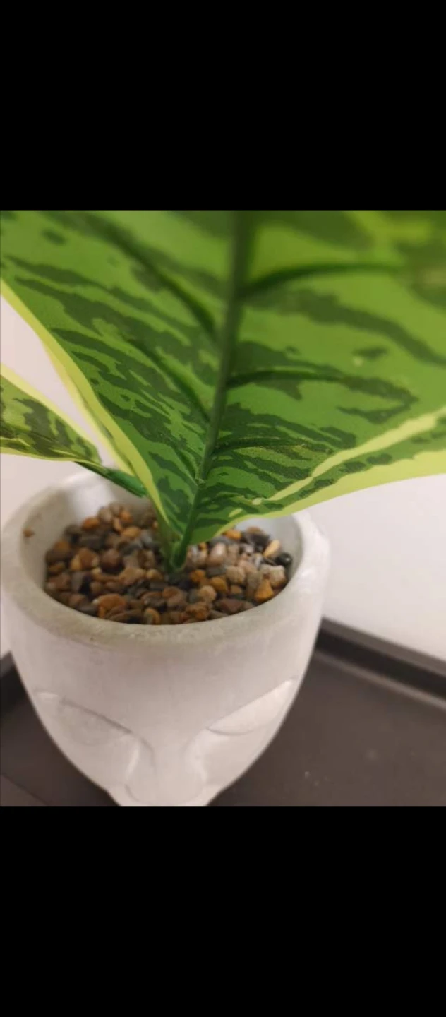 Artificial  Plant in Face Pot New - photo 2