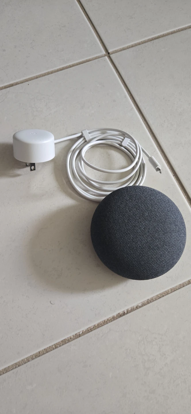 Google Nest Mini (Charcoal) Smart Speaker