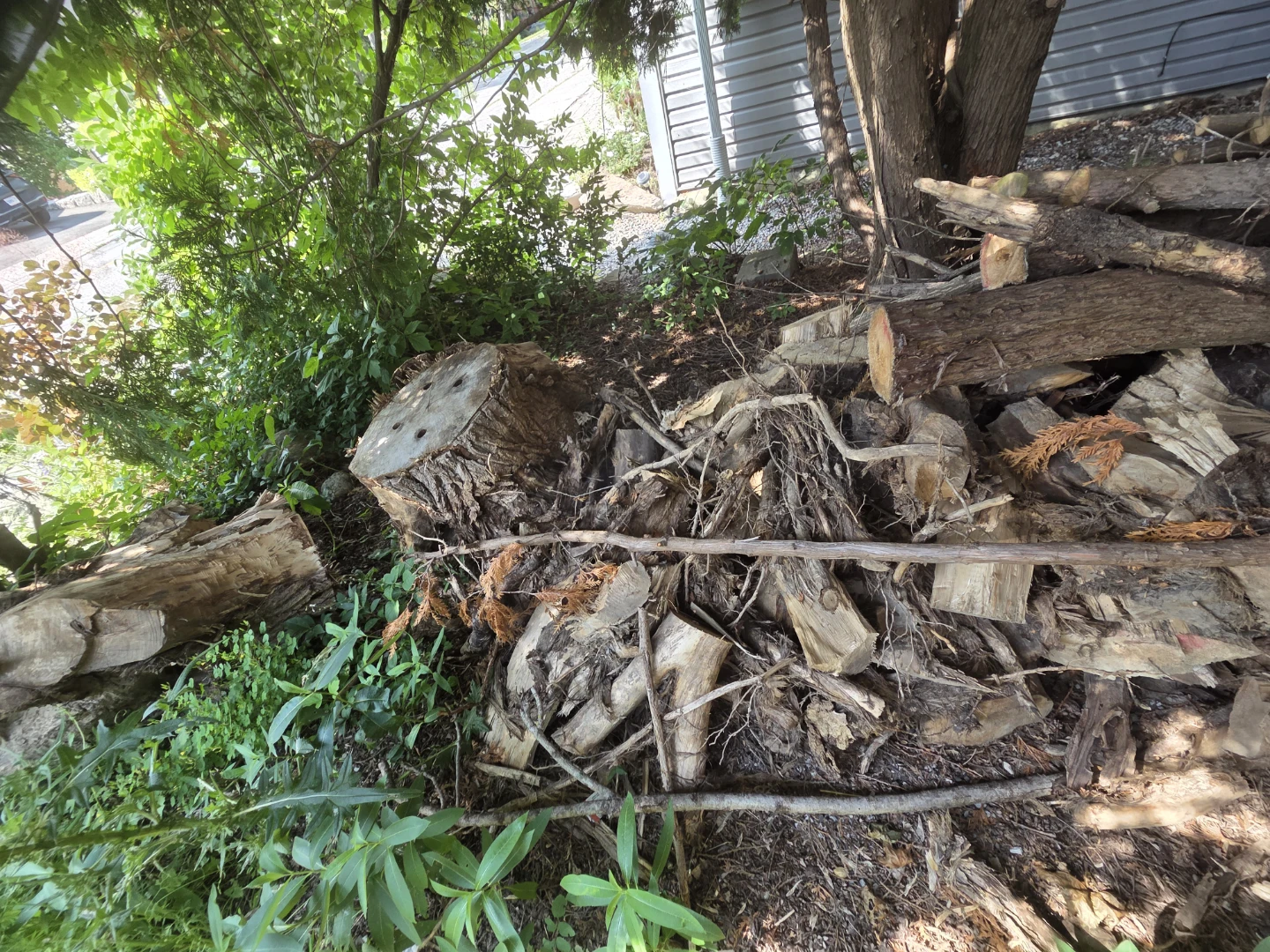 Pile of Firewood - photo 2