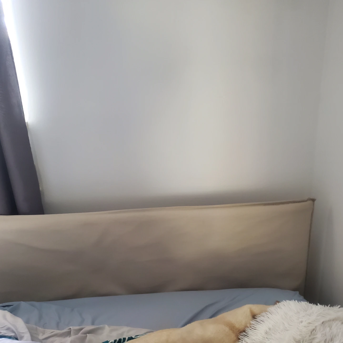 Brand new Double size Mattress  &bed frame uv - photo 4