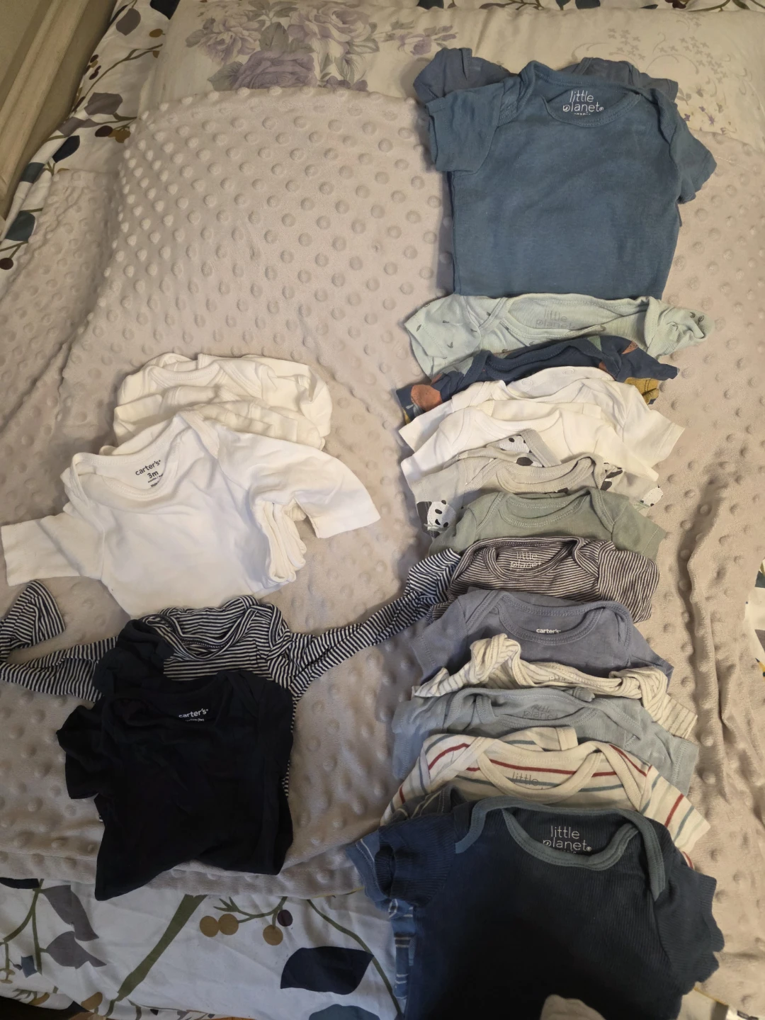 Baby Bodysuits - Carters & Little Planet