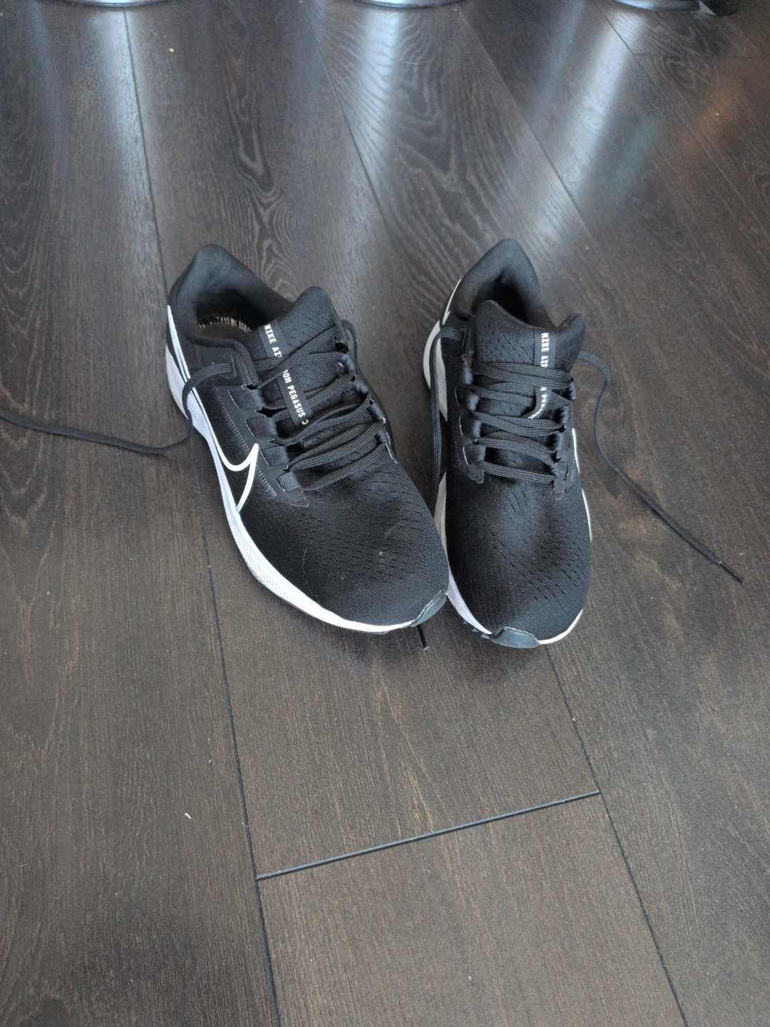 Nike Air Pegasus Zoom size 8.5