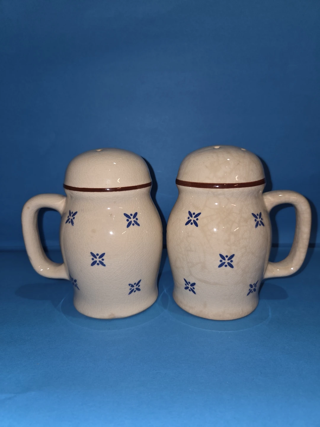 Ceramic Salt and Pepper Shakers Set - Blue Floral Design