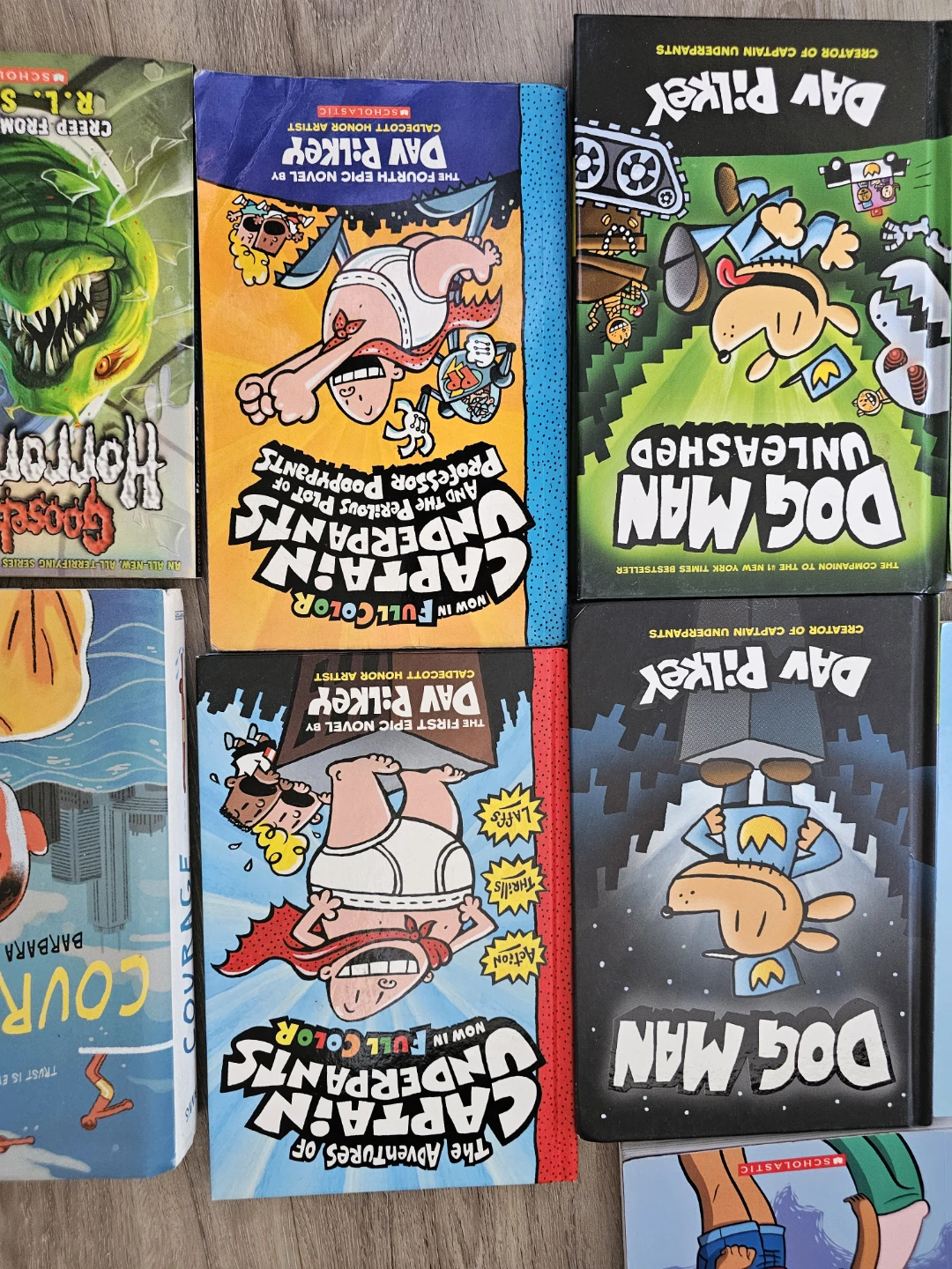Collection of Dav Pilkey and Scholastic Children's Books - photo 4