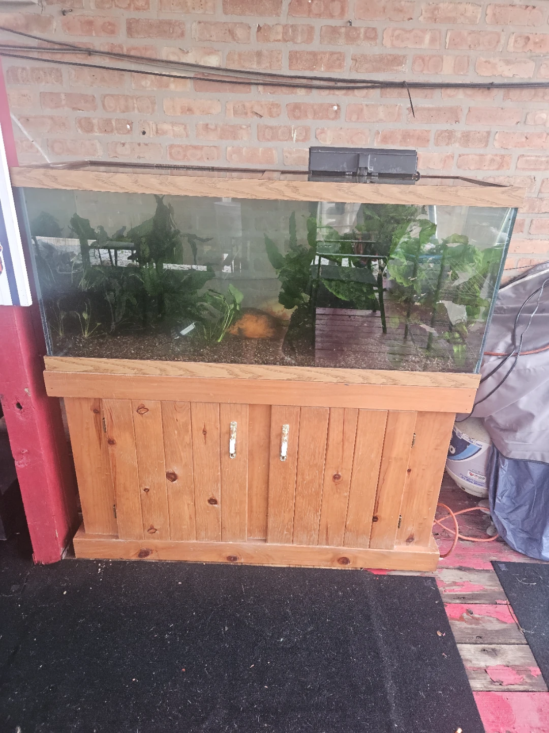 Large Aquarium with Wooden Stand