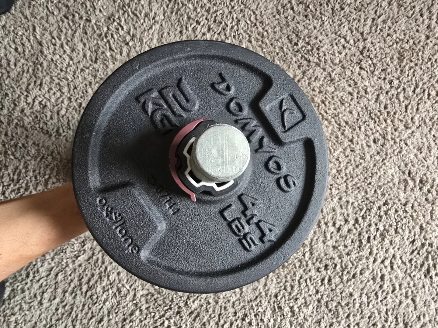 Weight Training Dumbbell - photo 3