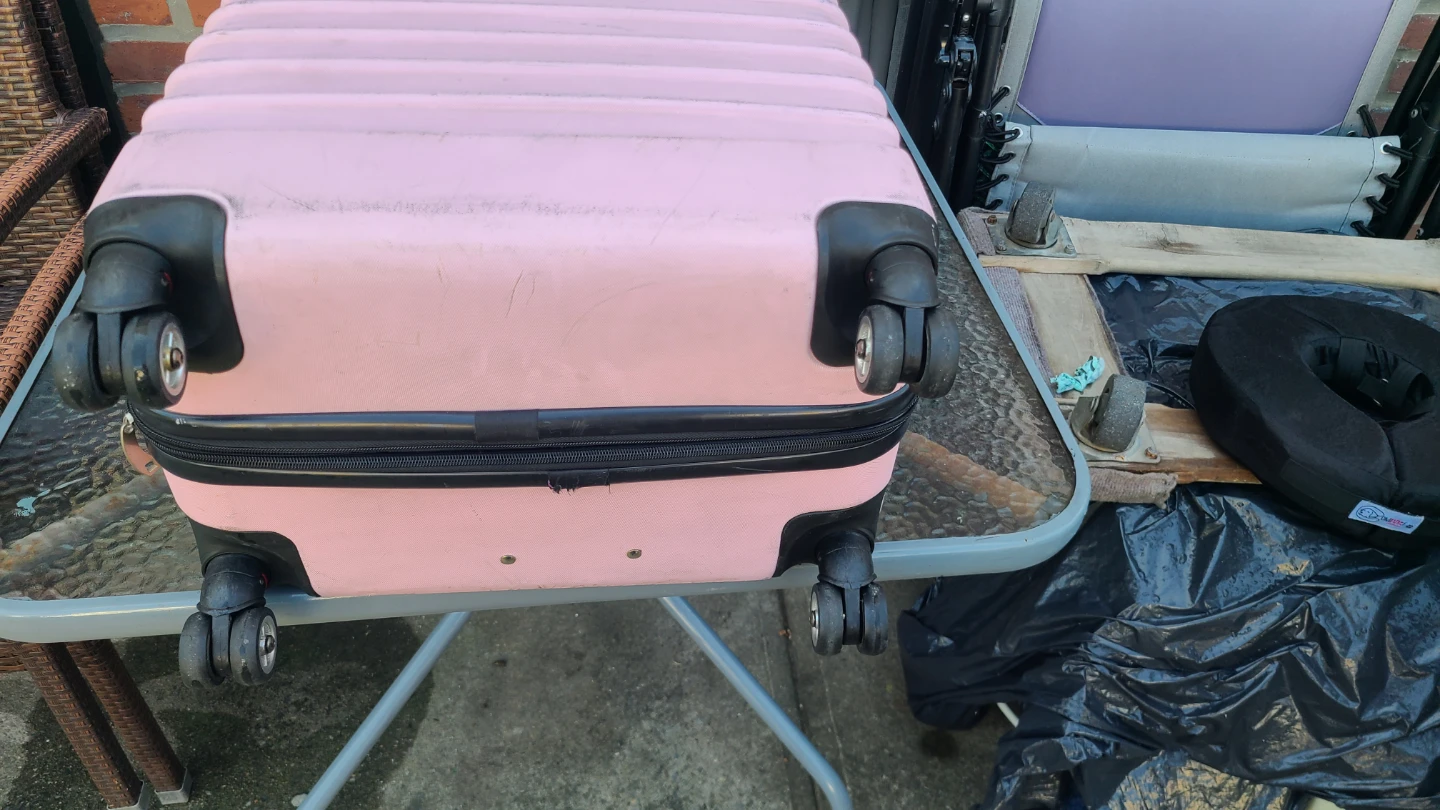 Pink Hardshell Spinner Luggage - XIN CAI LU - photo 3