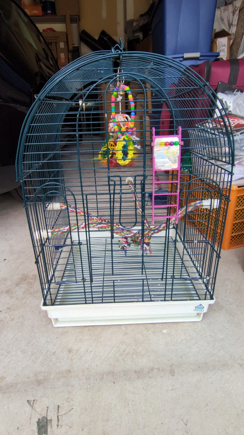 Bird Cage with Toys and Perches