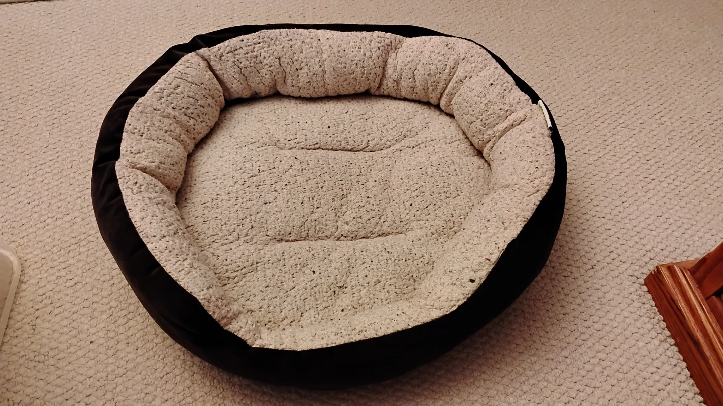 Free Dog or Cat Bed