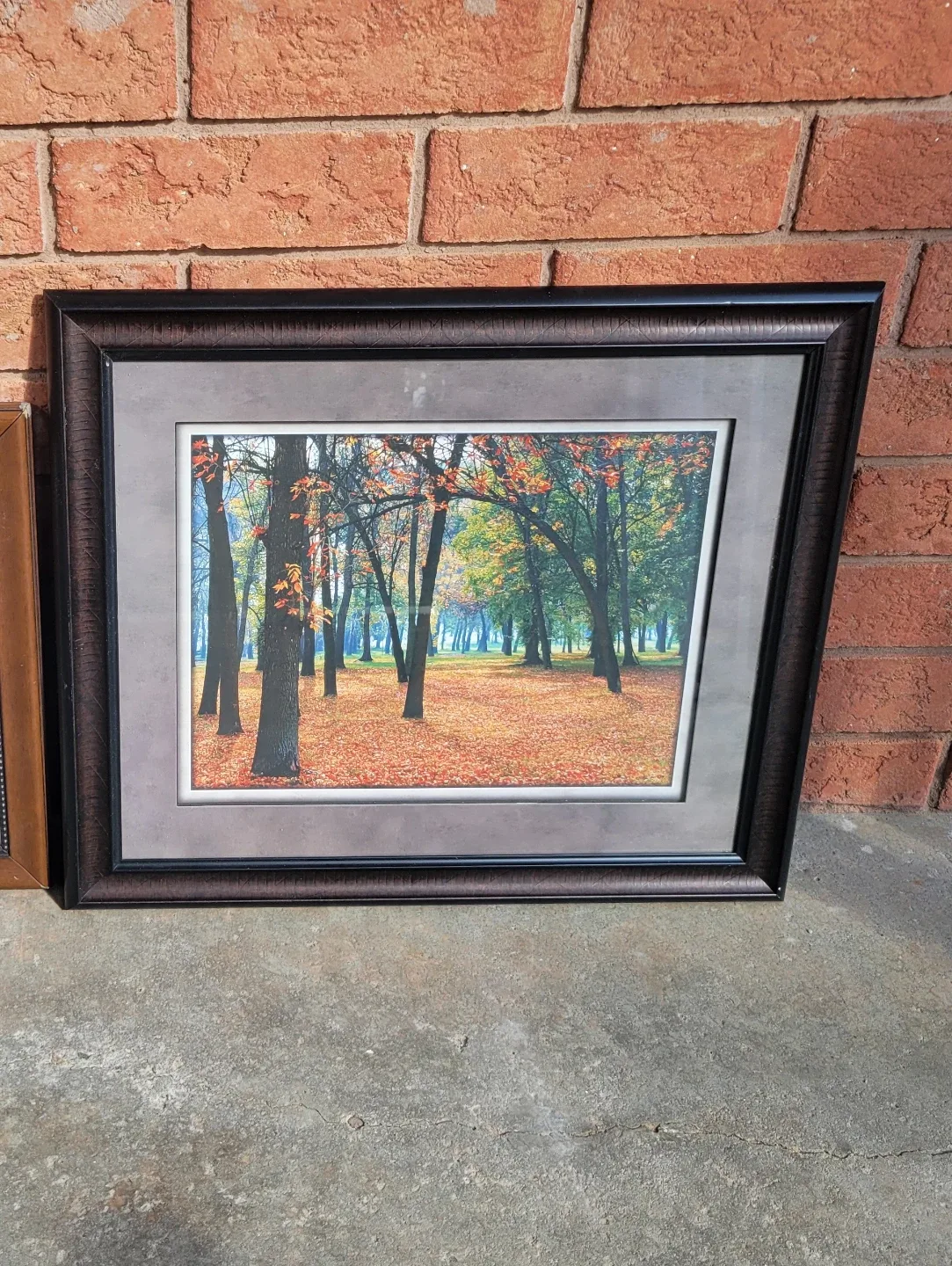 Framed Autumn Forest Print - photo 2