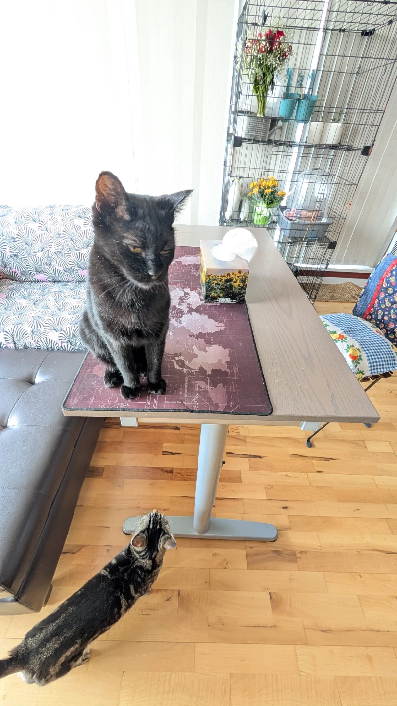 Adjustible sitting to standing desk