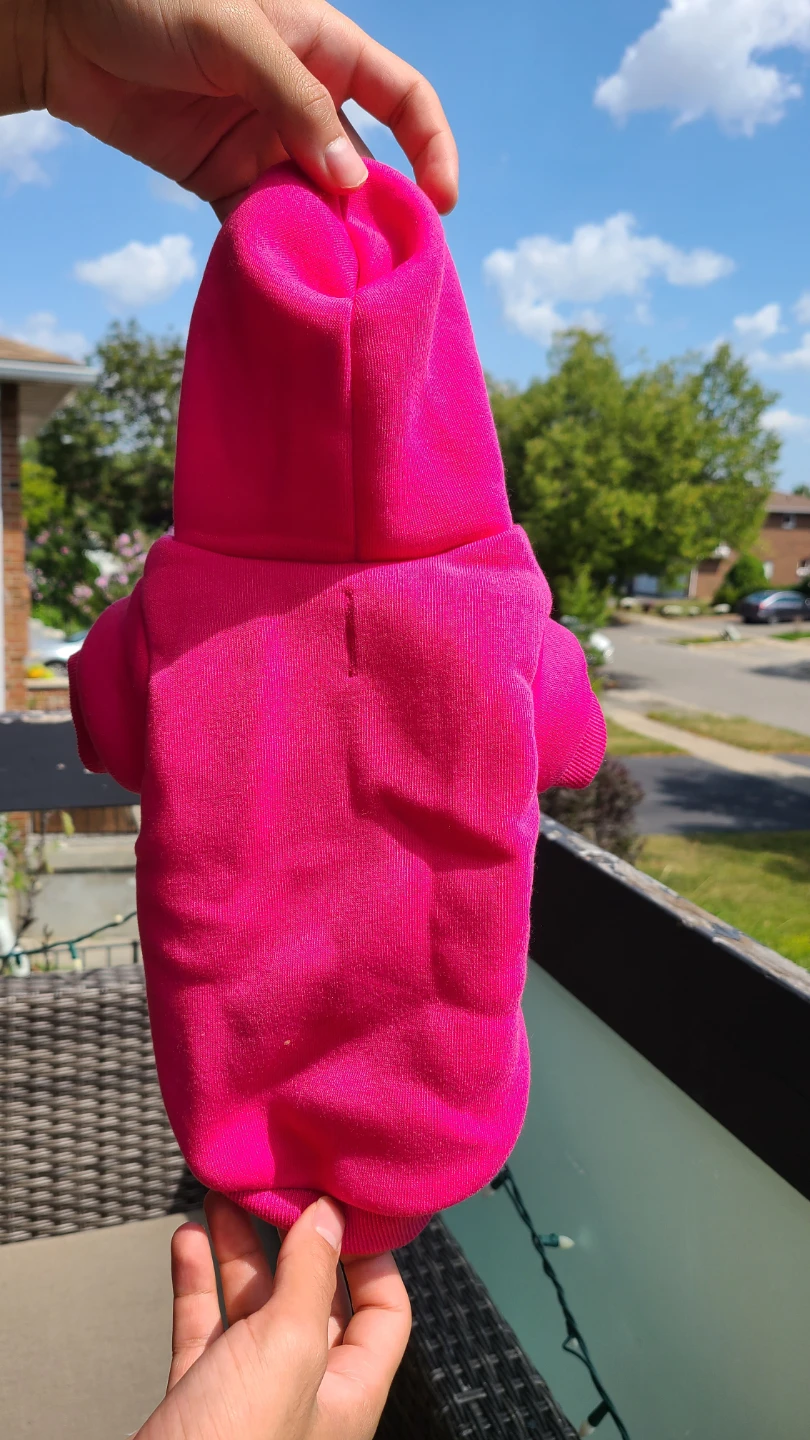 Pet Dog Hoodie