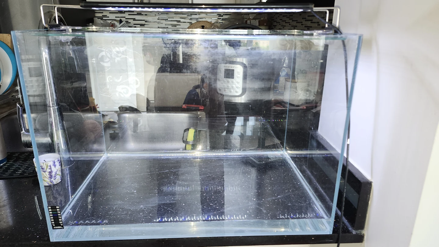 15 gallon rimless aquarium
