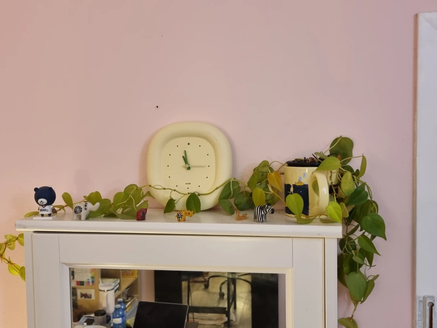 Plants with pots! - photo 2