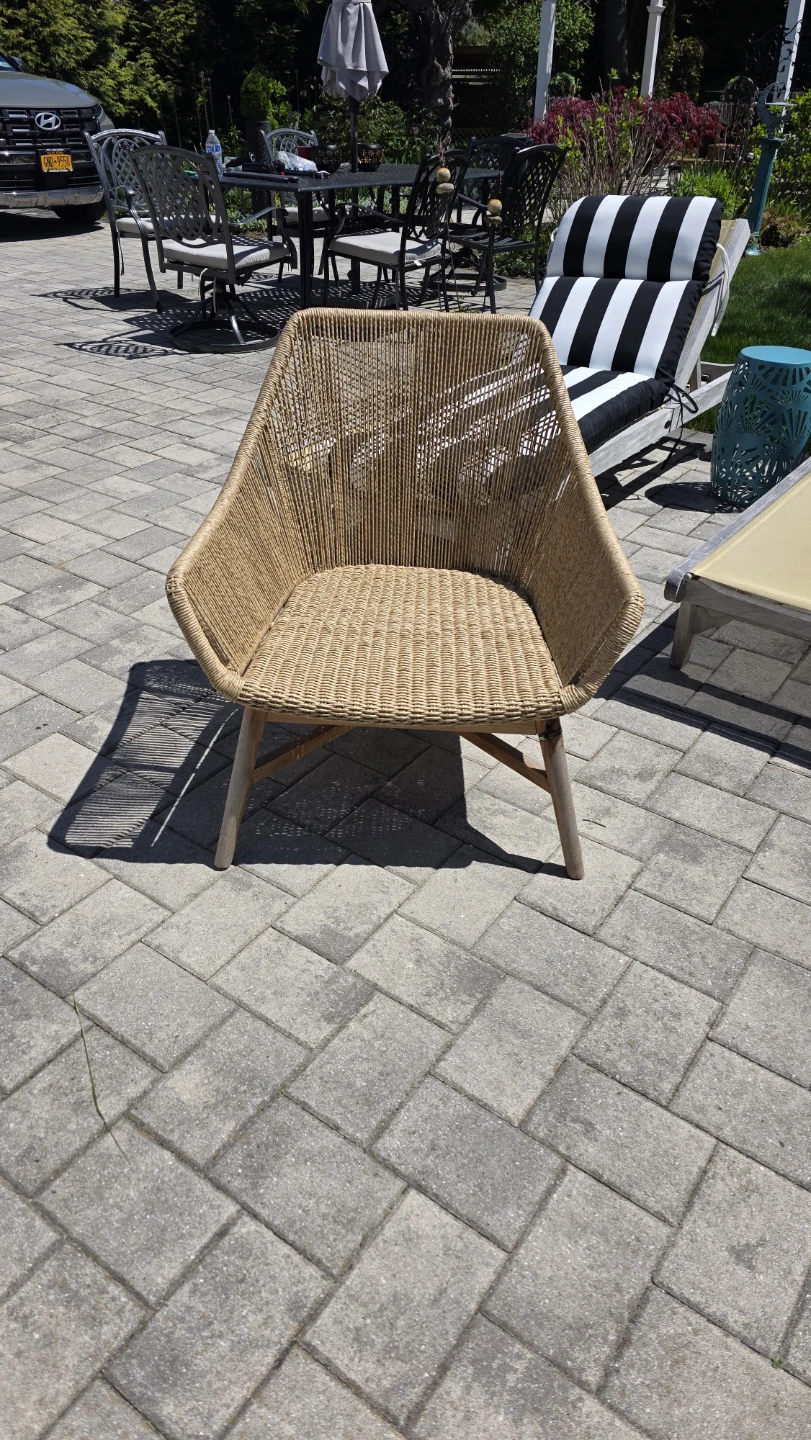 Serena and Lilly Woven Accent Chair