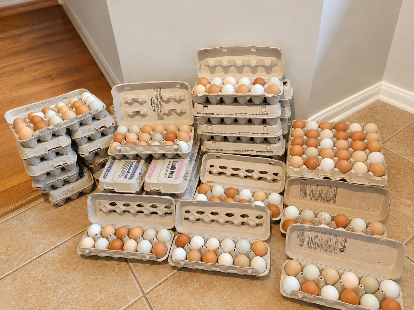 Fresh Farm Eggs (Brown, White, Blue, Green)