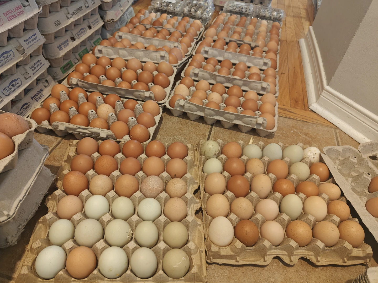 Fresh Farm Eggs (Brown, White, Blue, Green) - photo 5