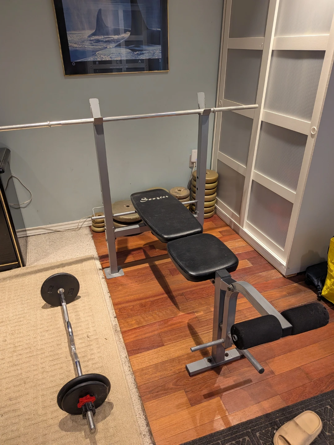 York Barbell and Weight Plates - photo 3