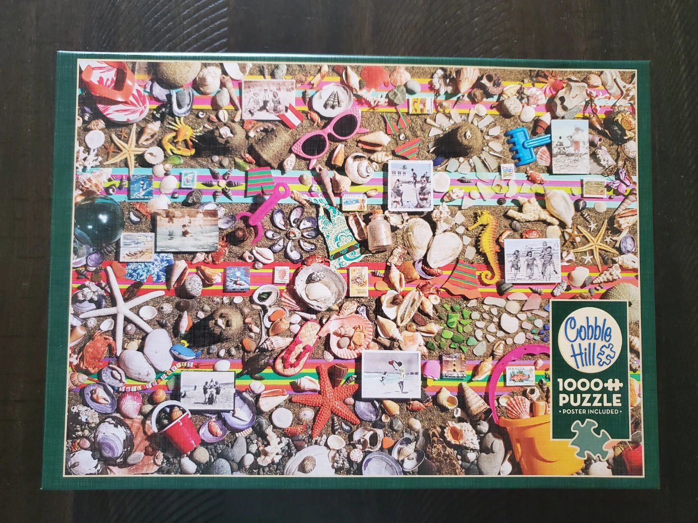 Cobble Hill Beach Shells 1000 Piece Puzzle