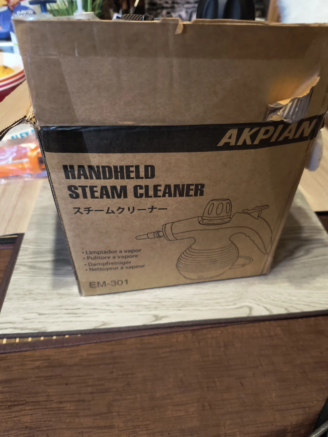 AKPIAN EM-301 Handheld Steam Cleaner